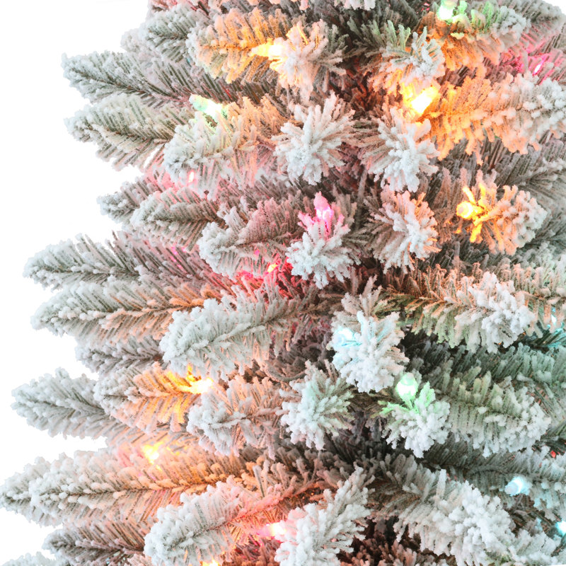 Haggai Lighted Christmas Tree