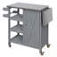Armoire portative extérieure pour îlot de cuisine en bois massif avec abattant, tablettes de rangement et roulettes verrouillables-579525436