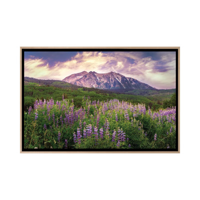 «Colorado Wildflowers Summer Landscape - Kebler Pass Lupine Flowers», reproduction d'art sur toile encadrée