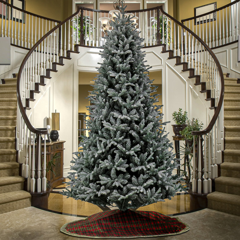 10 Ft. Holliston Tree, 10' H