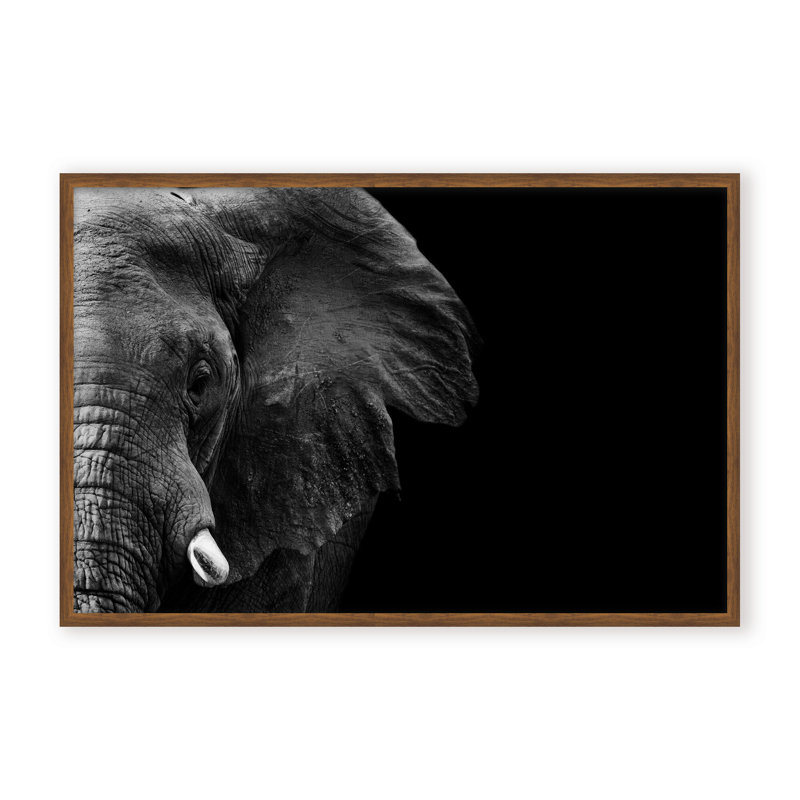 Nature Inspired Elephant by  - Picture Frame Photograph on Paper, 16" H x 24" W x 1.125" D, Beige, Framed Print