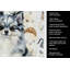 Serviette de cuisine Coffee Bar-1234934502