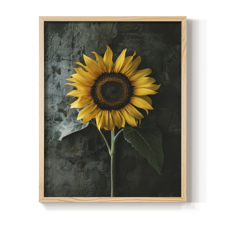 Impression encadrée FLORAL Series D III - bois massif, H 15 po x l 12 po