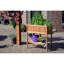 Aalap Wood Raised Garden Bed