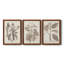 Ensemble de 3 cadres photo sur toile Midnight Tulip V-981462680-981462677