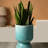 Decorative Table Top Vase