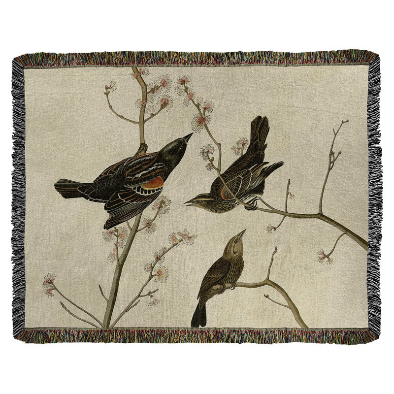 Jeté en coton John James Audubon, Brun clair