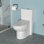 Ceramic One Piece Toilet, Dual Flush With Soft Closing Seat