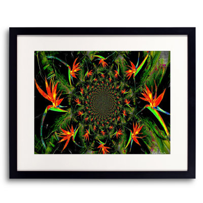 Bird Of Paradise Print by Leonard Askowitz