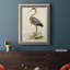 Antique Heron II - reproduction d'art sur toile encadrée-1922178546