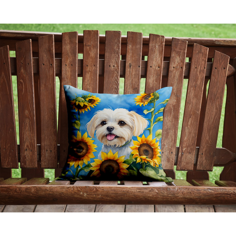Coussin décoratif intérieur / extérieur Autre / Sans motif, H 14 po x l 14 po