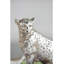 Figurines et sculptures animaux H 8,7 po x l 4,3 po x P 6,9 po-1348921901-1348921900-1348921890