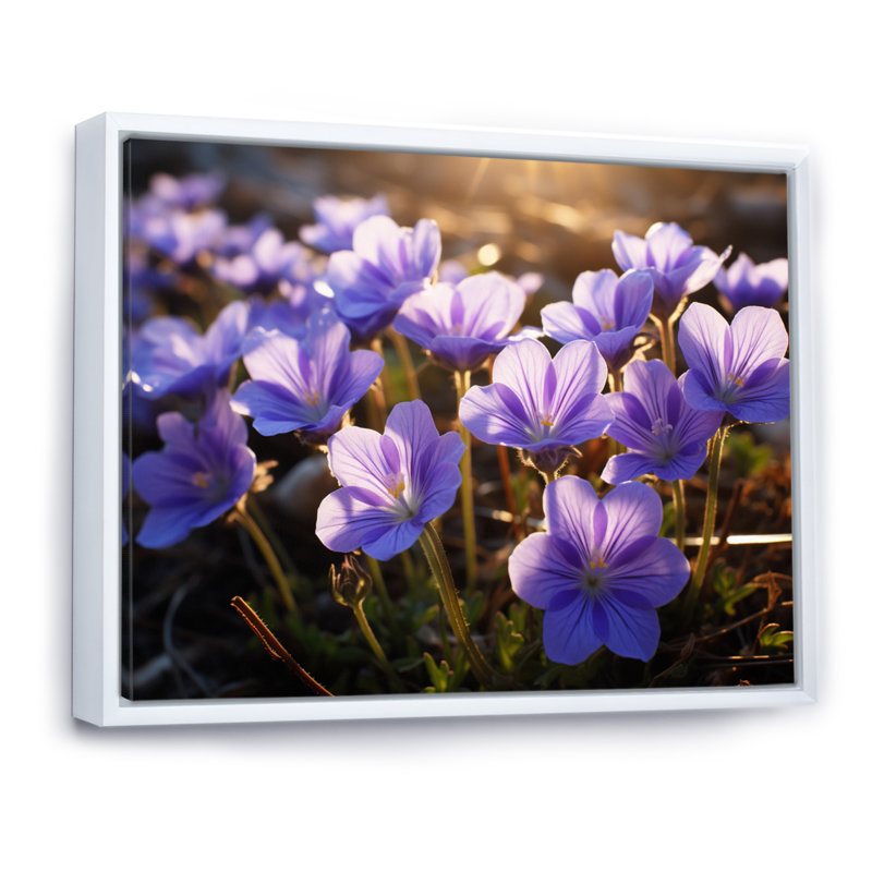 «Violets Field At Sunrise I», reproduction sur toile, Cadre flottant blanc, H 30 po x l 40 po