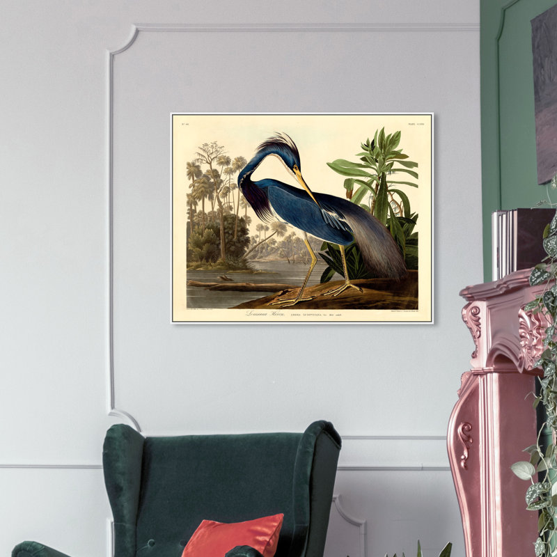 " Louisiana Heron ", 24" H x 28" W x 1.5" D, Picture Framed Canvas, White