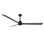 Alessandra Outdoor Downrod Ceiling Fan
