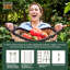 Pinces à piquets de jardin C-BITE - Paquet de 100 connecteurs de support pour plantes pour treillis personnalisés