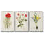 Fleurs des saisons VI, ensemble de 3 toiles encadrées-97795909-97795906