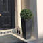 Plant Pot-788838802-795294483