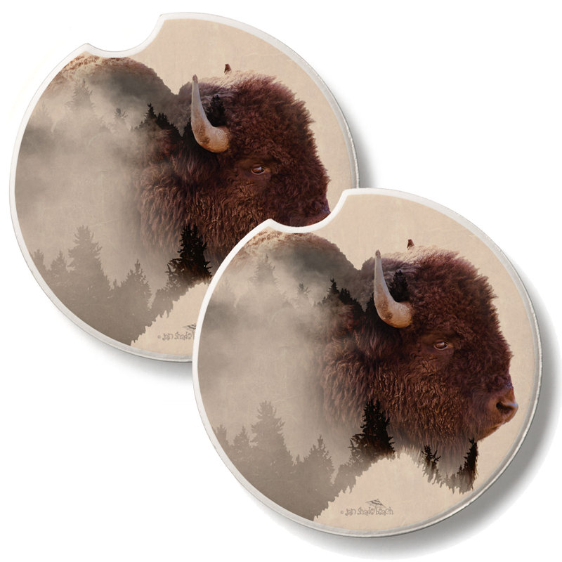 Ensemble de 2 sous-verres Southwest Buffalo