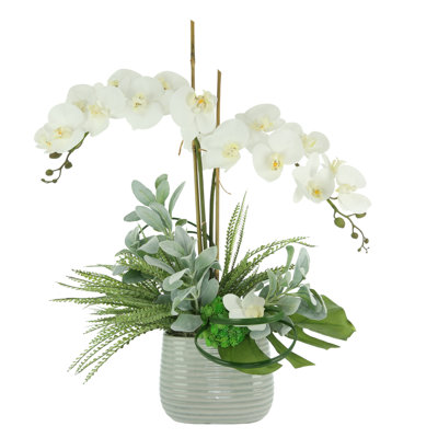 Polysilk Orchid Arrangement in Pot