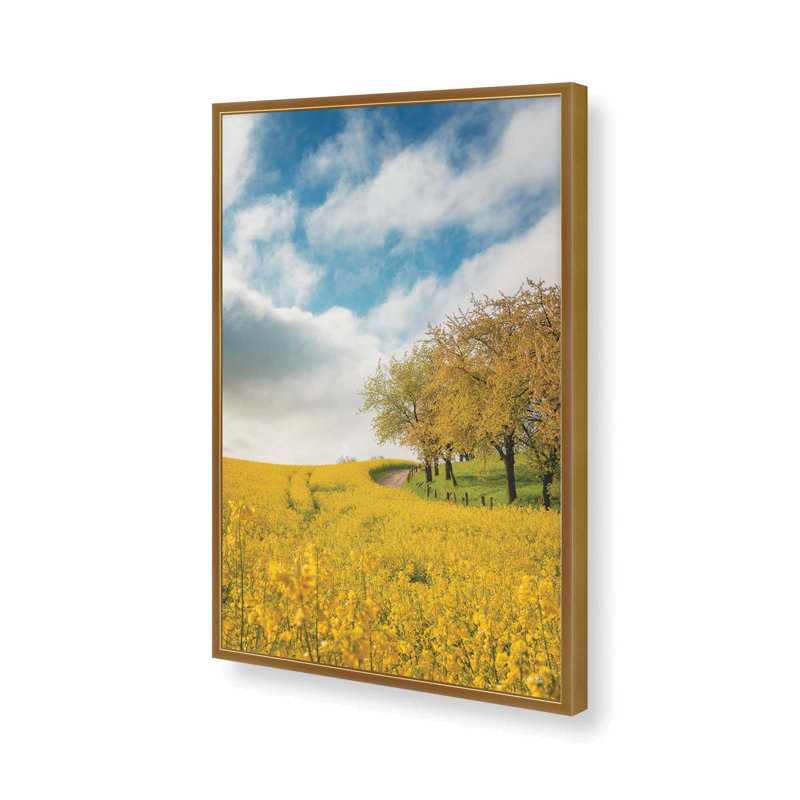 «Rapeseed Road» par Martin Podt, reproduction d'art, 20 W x 30 H, Gold, Framed Print
