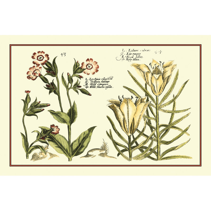 Garden Botanica III by Vision Studio - Wrapped Canvas Print, 20cm H x 30cm W