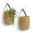 Jute