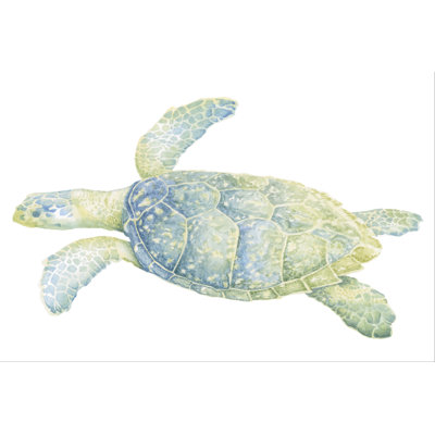 Tortue de mer tranquille II