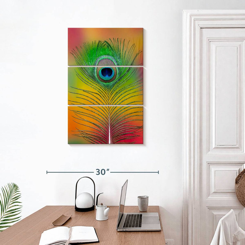 Plume de queue de paon mâle Kerner, H 32 po x l 20 po