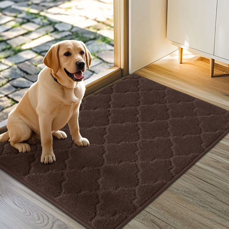 Monfield Non-Slip Outdoor Doormat, 24" W x 36" L, Brown