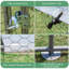 Asine 6m² Chicken Coop