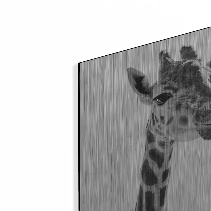 «Giraffe Expressionism» par SD Smart, H 16 po x l 24 po