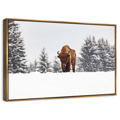 Bison aux champs d'hiver