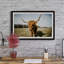 Wide Horns - Single Picture Frame Print-2096652509