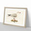 Black-Headed Gull by Von Wright - Picture Frame Art Print-55512504-55512505