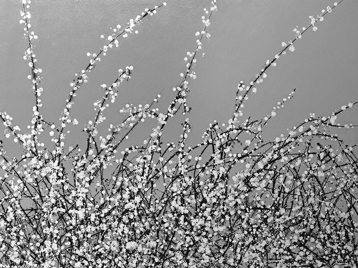 Early Blossom by Simon Fairless - Painting, Canvas