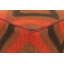 Upholstered Pouf