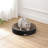 Nelson 20.13" Modern Cardboard Round Bowl Cat Scratcher with Catnip-111615901