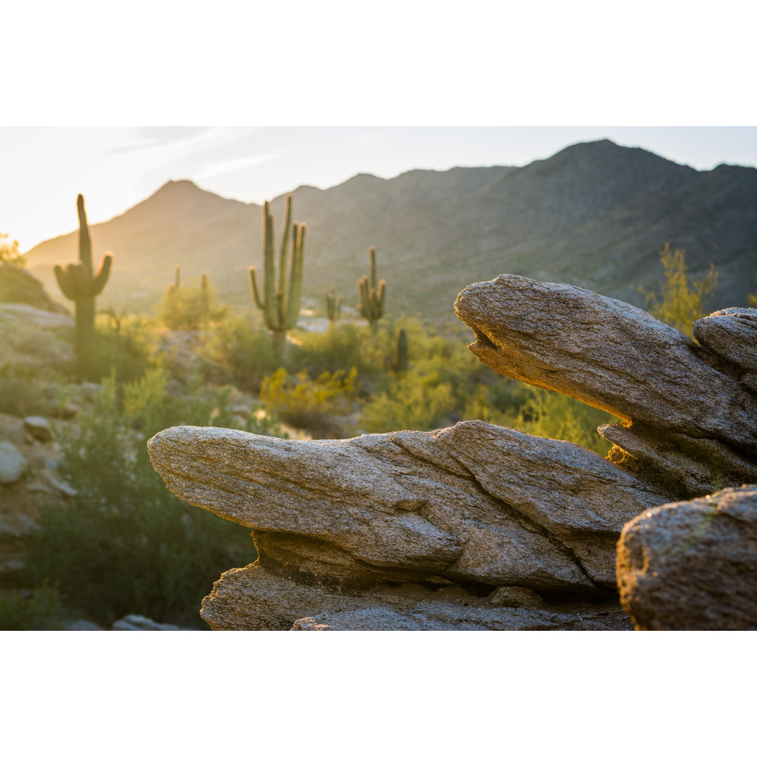 Leinwandbild Wanderung durch den South Mountain Park