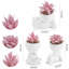 Ensemble de décorations succulentes artificielles 3 pièces Blush-ton