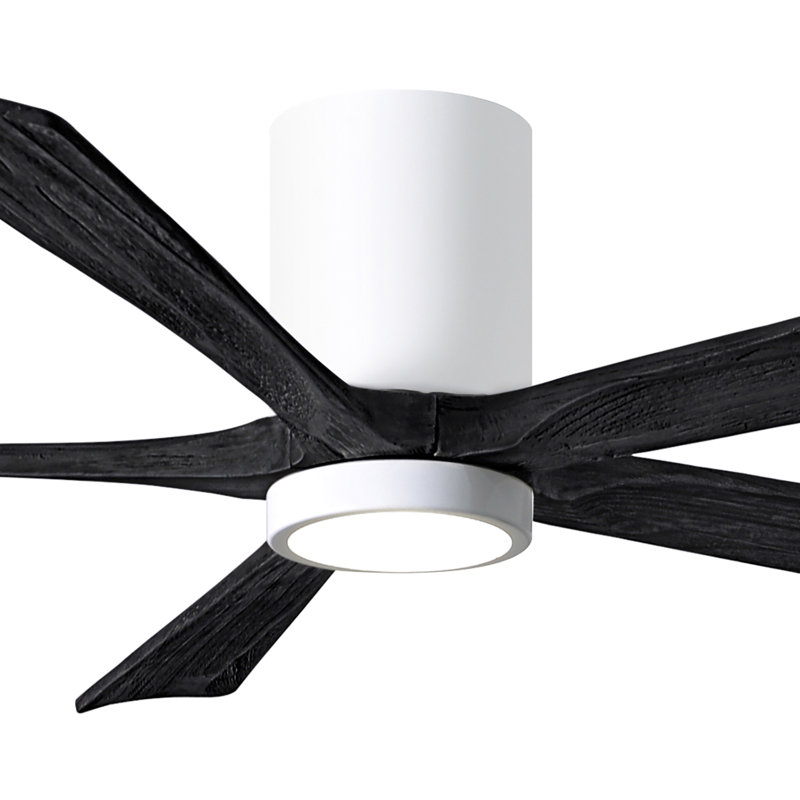 Ventilateur de plafond à 5 pales DEL avec ensemble d'éclairage inclus Irene, Blanc brillant, 60", Noir mat