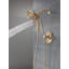 Tetra 17 Series Dual-Function Shower Faucet Trim, In2ition Shower Head with Handheld Spray Trim Kit-85763996