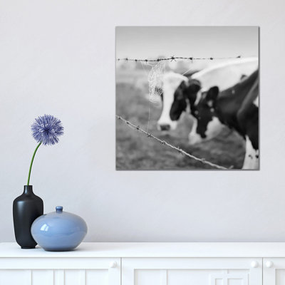 Holstein Cow by Chip Forelli - Wrapped Canvas Print