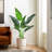 Artificial Bird of Paradise Plant-1466685502