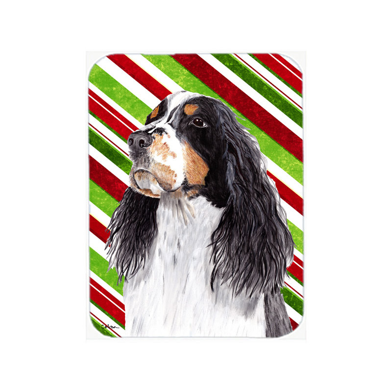 Planche à découper en verre de noël caroline de canne à sucre Springer Spaniel