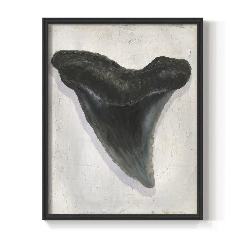 Watercolor Sharks Tooth I Framed Print - Solid Wood, 11" H x 9" W, Black
