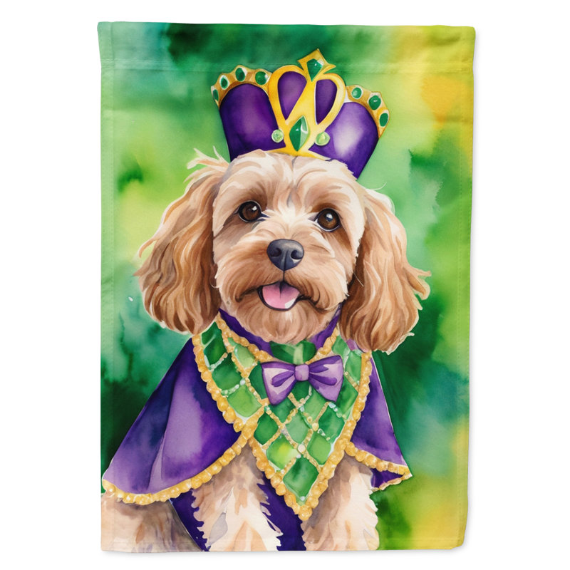 Double Sided 40'' H x 28'' W Polyester Mardi Gras House Flag