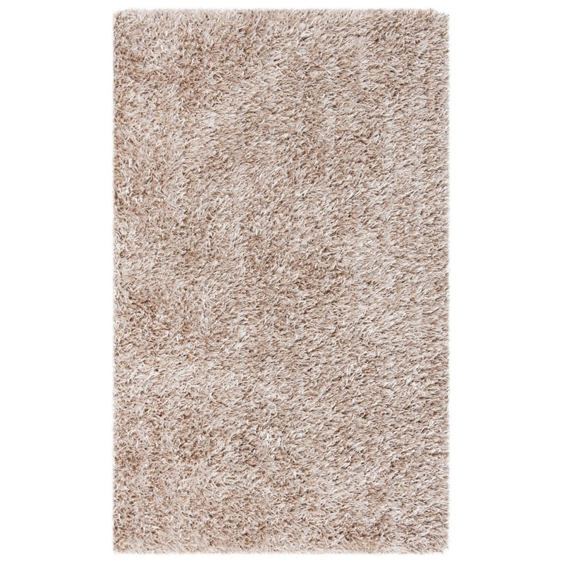 Assar Shag Beige Area Rug , Rectangle 2' x 3'