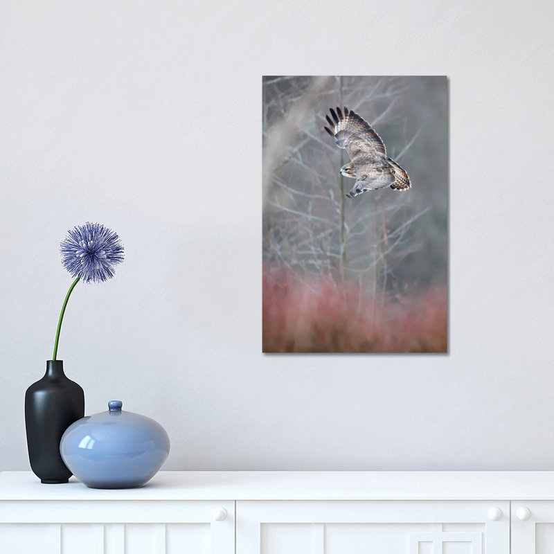 Flying Buzzard 1 Piece Wrapped Canvas Wall Art, 30.48 cm H x 45.72 cm W