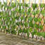 Plastic；Wood Folding-1538560740